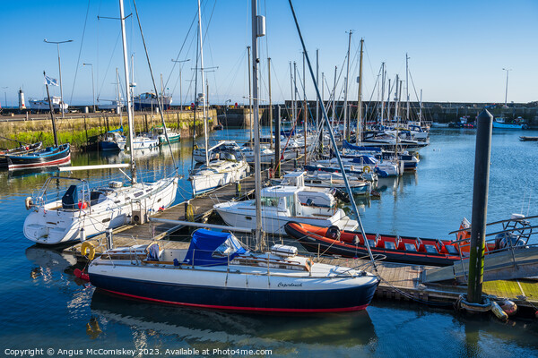 Boats moored in Anstruther harbour in Fife Picture Board by Angus McComiskey