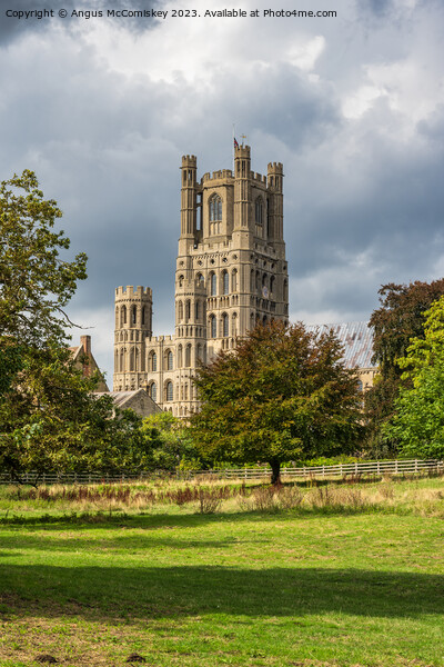 Ely Cathedral from Cherry Hill Park Picture Board by Angus McComiskey