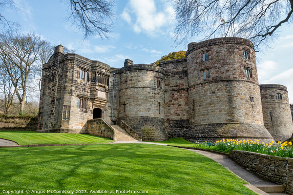 Spring flowers at Skipton Castle North Yorkshire Picture Board by Angus McComiskey