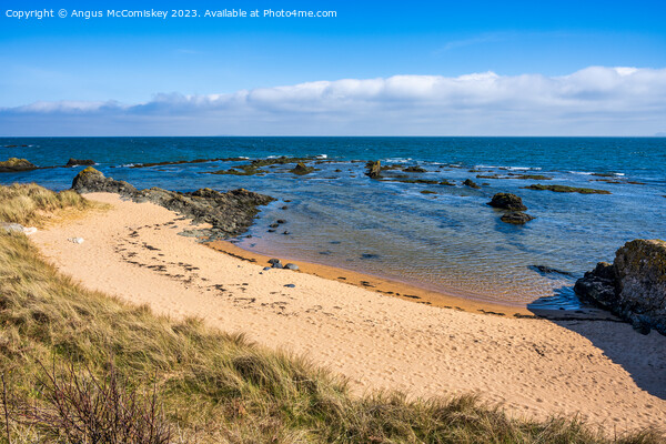 Sandy beach on the Fife coast of Scotland Picture Board by Angus McComiskey