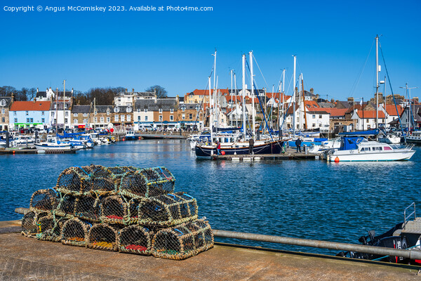 Creels on quayside of Anstruther harbour Picture Board by Angus McComiskey