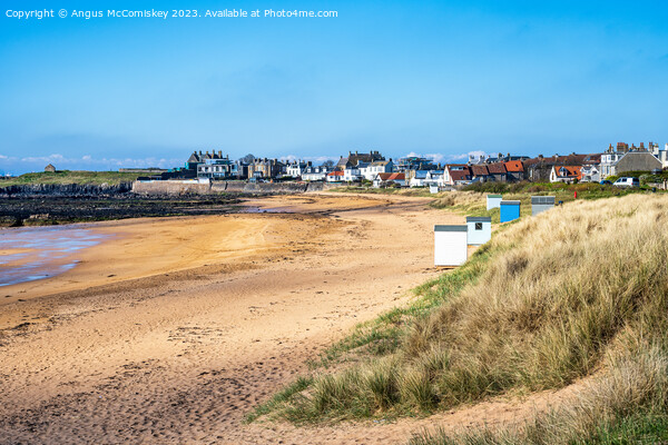 Receding tide on Elie and Earlsferry beach Fife Picture Board by Angus McComiskey