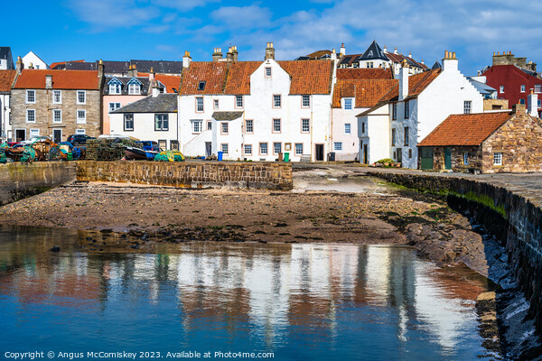 Whitewashed stone houses on Pittenweem harbour Picture Board by Angus McComiskey