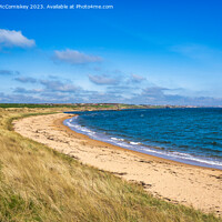 Buy canvas prints of Golden sands of the Fife coast of Scotland by Angus McComiskey