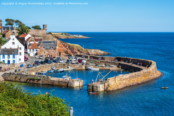 Crail harbour in East Neuk of Fife Picture Board by Angus McComiskey