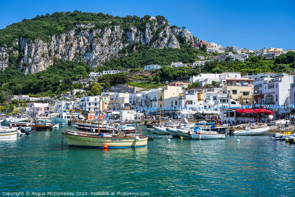 Boats in Marina Grande, Island of Capri, Italy Picture Board by Angus McComiskey