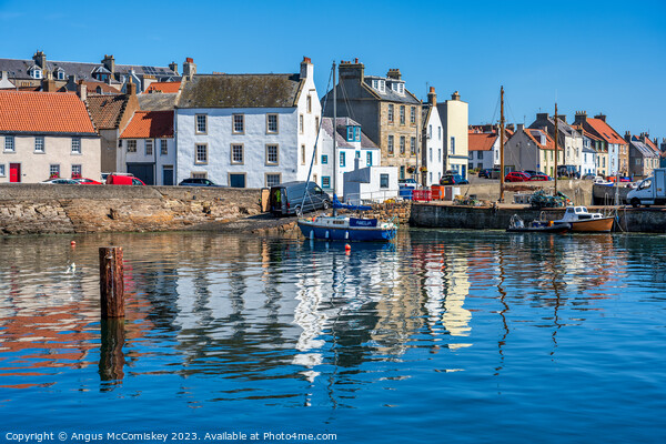 St Monans harbour reflections Picture Board by Angus McComiskey