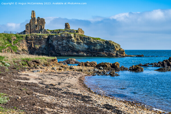 Ruins of Newark Castle on the Fife Coastal Path Picture Board by Angus McComiskey