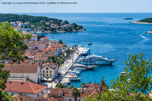 Boats on Riva waterfront in Hvar town, Croatia Picture Board by Angus McComiskey
