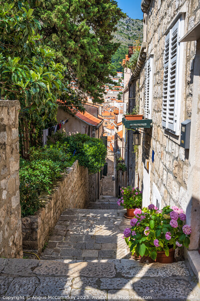Picturesque Dubrovnik alleyway, Croatia Picture Board by Angus McComiskey