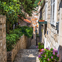 Buy canvas prints of Picturesque Dubrovnik alleyway, Croatia by Angus McComiskey