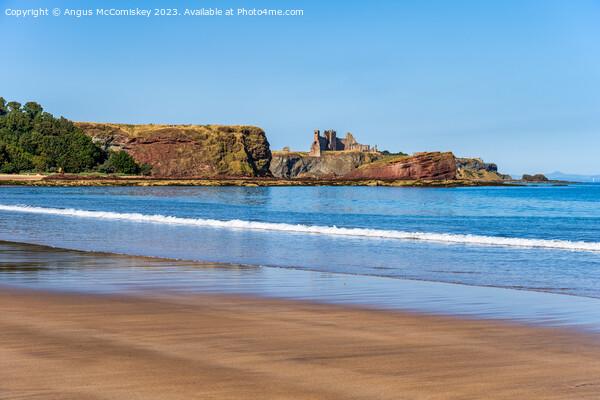 Seacliff Beach and Tantallon Castle, East Lothian Picture Board by Angus McComiskey