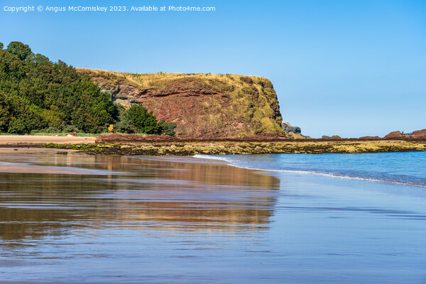 Seacliff Beach reflections, East Lothian, Scotland Picture Board by Angus McComiskey
