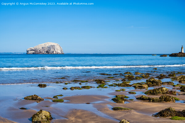 The Bass Rock from Seacliff Beach, East Lothian Picture Board by Angus McComiskey