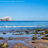 Buy canvas prints of The Bass Rock from Seacliff Beach, East Lothian by Angus McComiskey