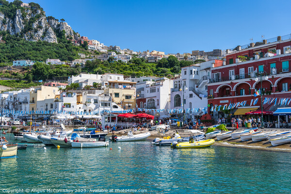 Boats in Marina Grande, Island of Capri Picture Board by Angus McComiskey