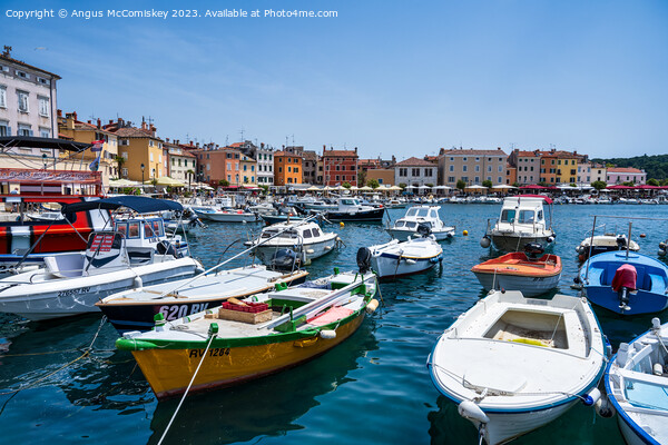 Boats moored in the Port of Rovinj in Croatia Picture Board by Angus McComiskey