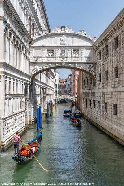 Gondolas under the Bridge of Sighs in Venice Picture Board by Angus McComiskey