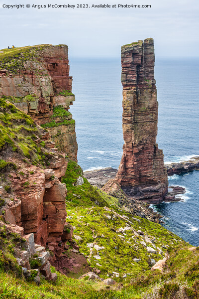 Old Man of Hoy, Orkney, Scotland Picture Board by Angus McComiskey