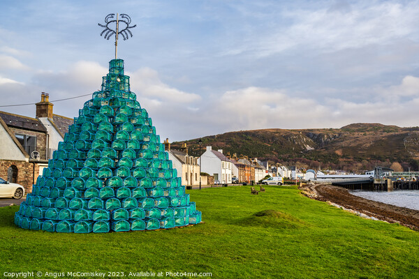 Creel Christmas tree on Ullapool seafront Picture Board by Angus McComiskey