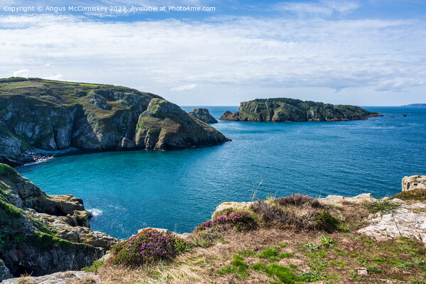 Port a la Jument Bay on Sark, Channel Islands Picture Board by Angus McComiskey