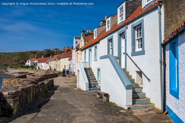 Colourful seafront houses in Pittenweem Picture Board by Angus McComiskey