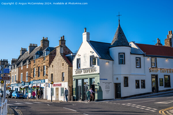 The Ship Tavern on seafront of Anstruther in Fife Picture Board by Angus McComiskey