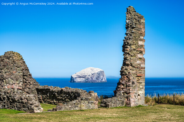 The Bass Rock from Tantallon Castle, East Lothian Picture Board by Angus McComiskey