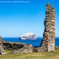 Buy canvas prints of The Bass Rock from Tantallon Castle, East Lothian by Angus McComiskey