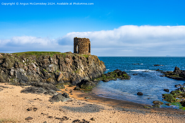 Lady’s Tower on the Fife Coastal Path at Elie Picture Board by Angus McComiskey