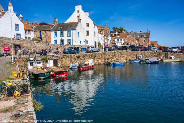 High tide at Crail harbour East Neuk of Fife Picture Board by Angus McComiskey