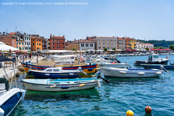 Boats moored in the Port of Rovinj in Croatia Picture Board by Angus McComiskey