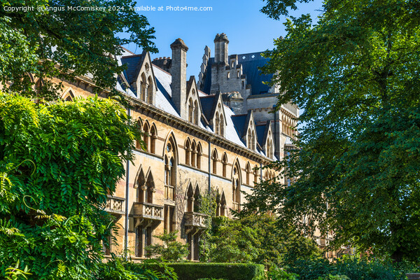 Meadow Building, Christ Church College, Oxford Picture Board by Angus McComiskey