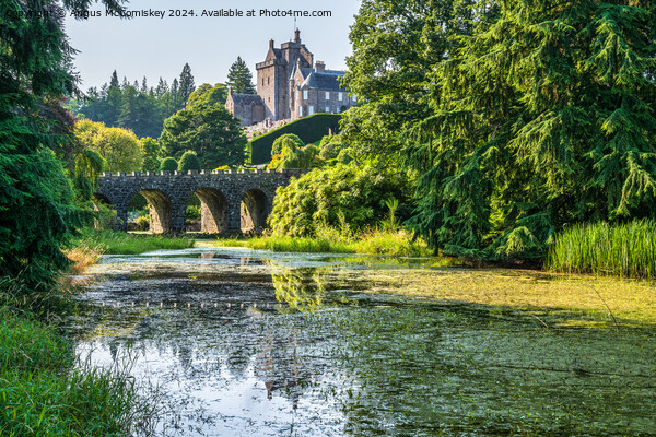Stone bridge and pond in Drummond Castle Gardens Picture Board by Angus McComiskey
