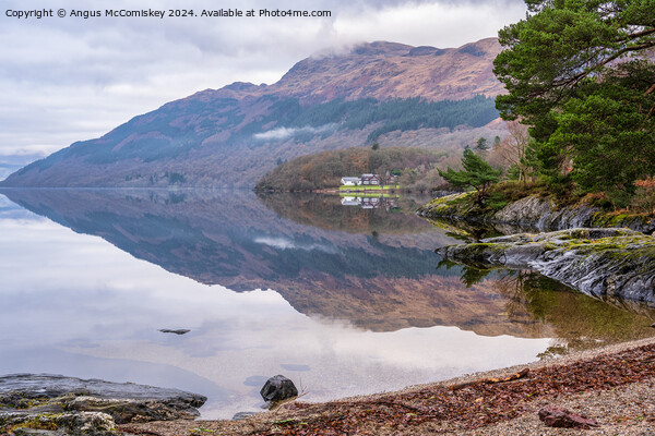 Winter reflections from the beach at Rowardennan Picture Board by Angus McComiskey