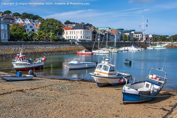 South Beach Marina in St Peter Port, Guernsey Picture Board by Angus McComiskey