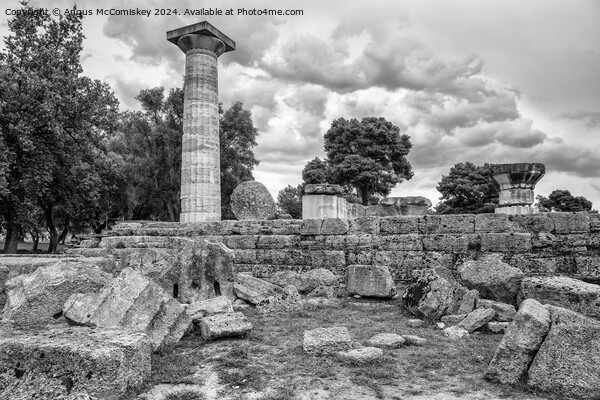 Temple of Zeus at ancient Olympia, Greece mono Picture Board by Angus McComiskey