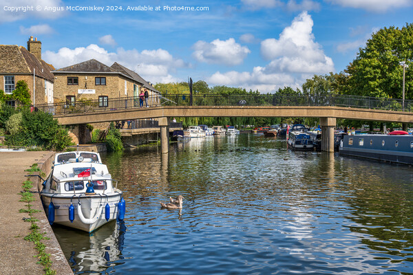 Boats moored on the River Great Ouse at Ely Picture Board by Angus McComiskey