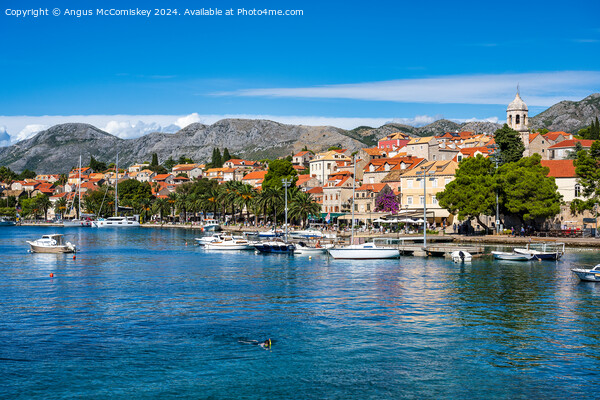 Boats moored in Cavtat harbour in Croatia Picture Board by Angus McComiskey