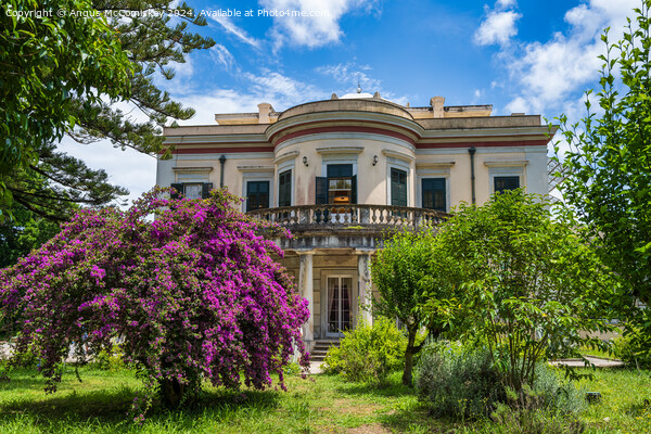 Villa Mon Repos, Island of Corfu, Greece Picture Board by Angus McComiskey