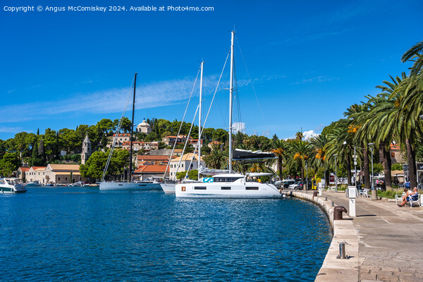 Palm-lined promenade at Cavtat in Croatia Picture Board by Angus McComiskey