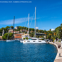 Buy canvas prints of Palm-lined promenade at Cavtat in Croatia by Angus McComiskey