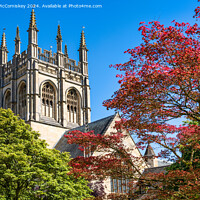 Buy canvas prints of Bell tower of Merton College Chapel, Oxford by Angus McComiskey