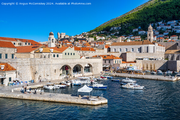 Early morning in Dubrovnik harbour, Croatia Picture Board by Angus McComiskey
