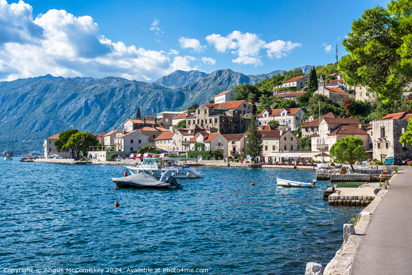 Waterfront at Perast on Bay of Kotor in Montenegro Picture Board by Angus McComiskey