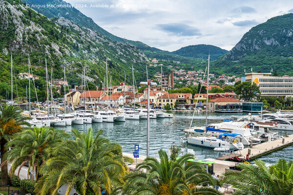 Yachts and boats in Kotar Marina, Montenegro Picture Board by Angus McComiskey