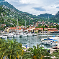 Buy canvas prints of Yachts and boats in Kotar Marina, Montenegro by Angus McComiskey