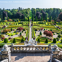 Buy canvas prints of Drummond Castle Gardens, Perthshire, Scotland by Angus McComiskey