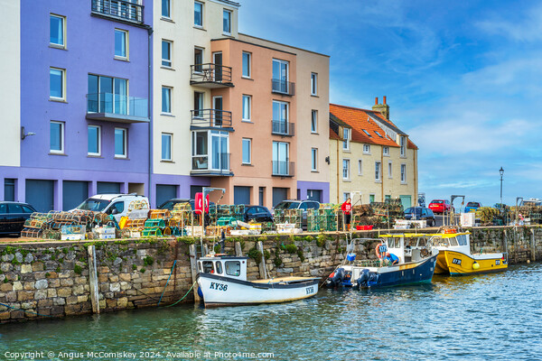 Colourful quayside buildings on St Andrews harbour Picture Board by Angus McComiskey
