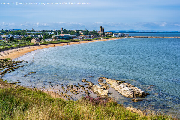 St Andrews East Sands beach in Fife Picture Board by Angus McComiskey